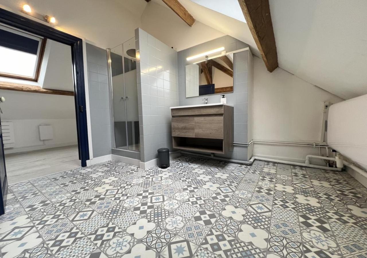 L Armurerie - Appartement Centre Ville De סנס מראה חיצוני תמונה
