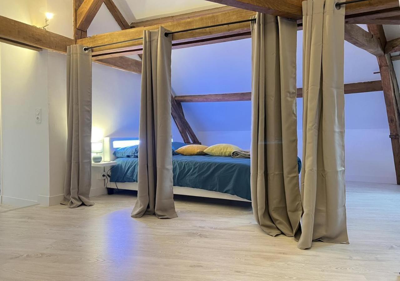 L Armurerie - Appartement Centre Ville De סנס מראה חיצוני תמונה
